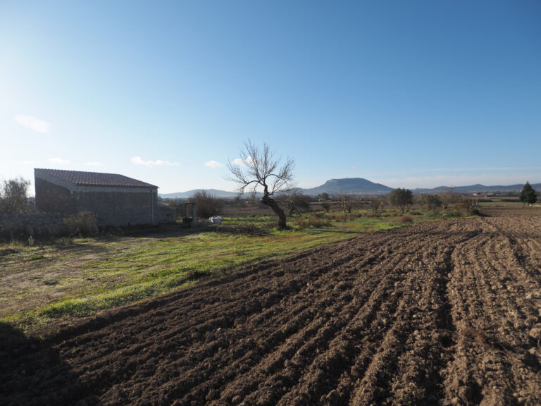 Campo verde con árboles y casa