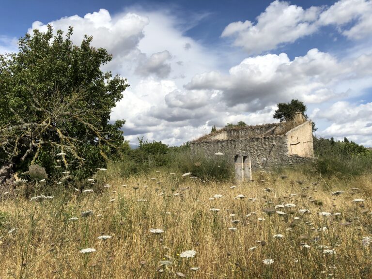 Extenso campo de hierba verde alta y estructura de piedra